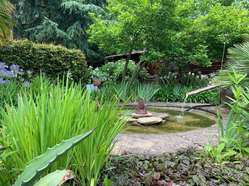 Maison En Pierre Dans Son Nid De Verdure Roz-Landrieux Bagian luar foto
