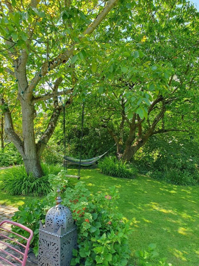 Maison En Pierre Dans Son Nid De Verdure Roz-Landrieux Bagian luar foto