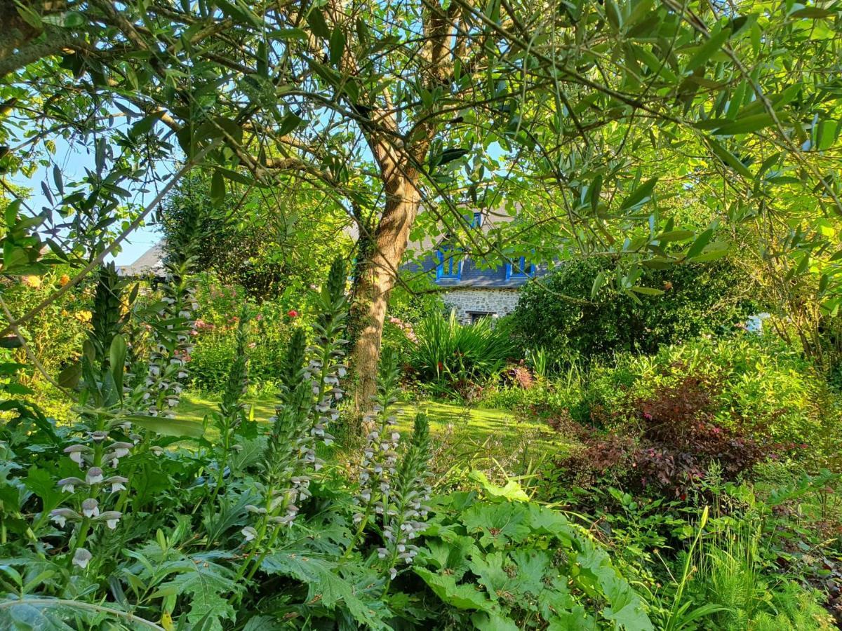 Maison En Pierre Dans Son Nid De Verdure Roz-Landrieux Bagian luar foto