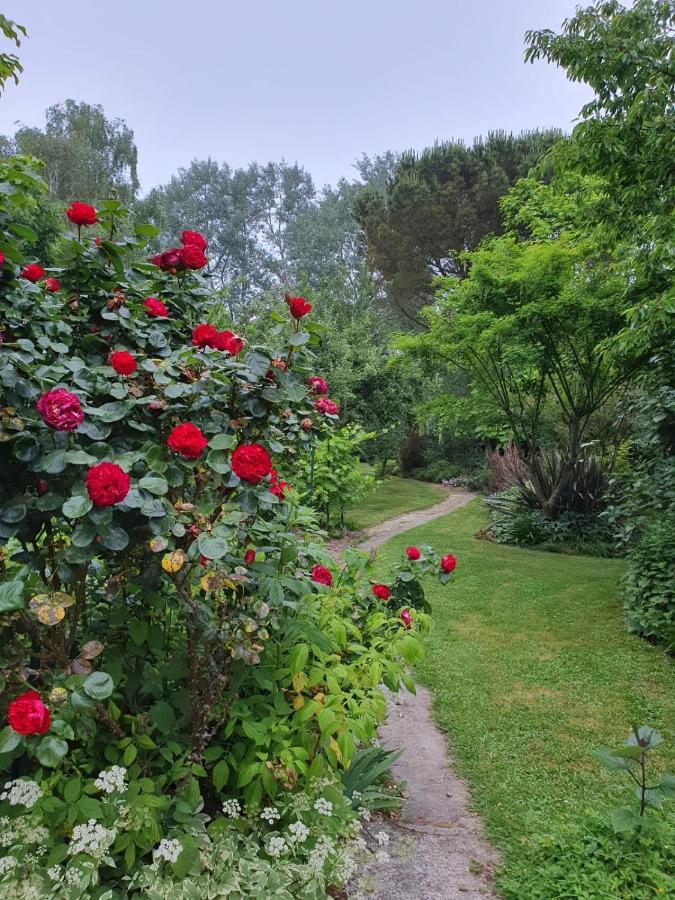 Maison En Pierre Dans Son Nid De Verdure Roz-Landrieux Bagian luar foto