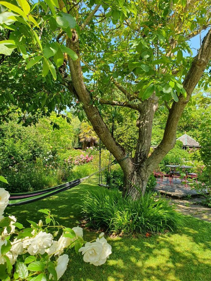 Maison En Pierre Dans Son Nid De Verdure Roz-Landrieux Bagian luar foto